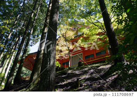 比叡山延暦寺 行院 滋賀県大津市坂本 比叡山延暦寺 行院 滋賀県大津市坂本 111708697