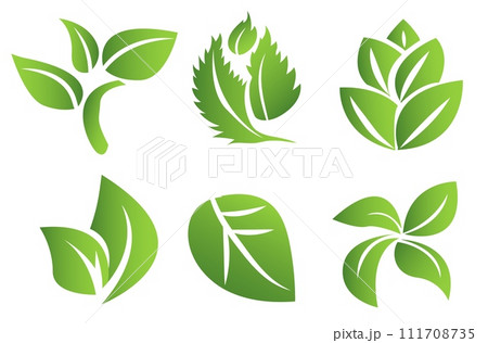 A set of green leaves on a white background, for logos, designs, for the symbolism of the green planet 111708735