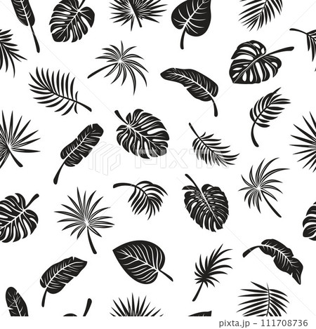 Vector Seamless Pattern with Tropical Leaf Silhouettes. Flat Vector Black and White Cutout Style Monstera, Ficus, Banana Leaf, Dracaena, Sabal Palm Leaves, Isolated 111708736