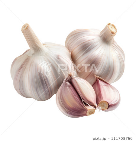 Set of garlic bulb isolated 111708766