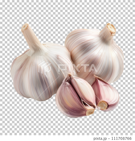 Set of garlic bulb isolated 111708766