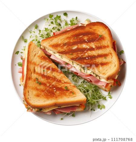 Grilled cheese sandwich on a white plate 111708768
