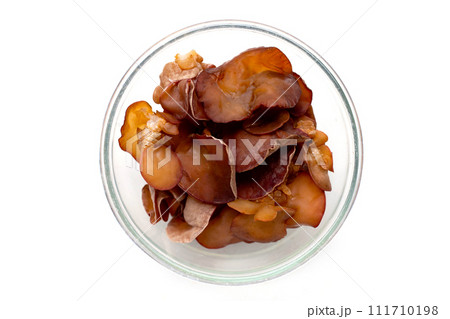 Black fungus mushroom on white background. 111710198