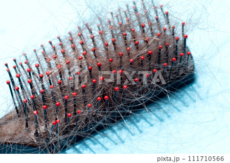 Hairs loss fall in comb on blue background. 111710566