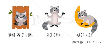 Funny raccoons in various poses. Home sweet home, keep calm and good night characters. Raccoon in tree, meditation and sleep on moon, vector set 111711075