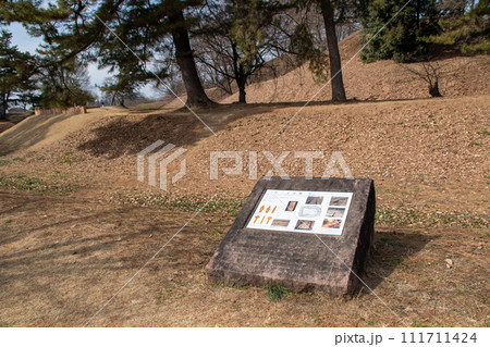 前橋市　大室公園の古墳群 111711424