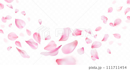 3d sakura falling petals. Realistic flying petal of blossom japanese cherry or rose flowers, panoramic wedding wallpaper or cosmetic ad spring background exact vector illustration 111711454
