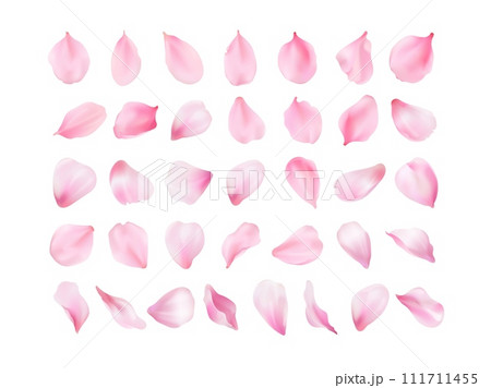 3d sakura petals. Realistic blossom cherry or real rose pink petal closeup, spring falling scent flowers in pastel watercolor gradient, valentine flower exact vector illustration 111711455