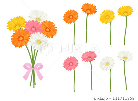 ガーベラの花のセット 111711858