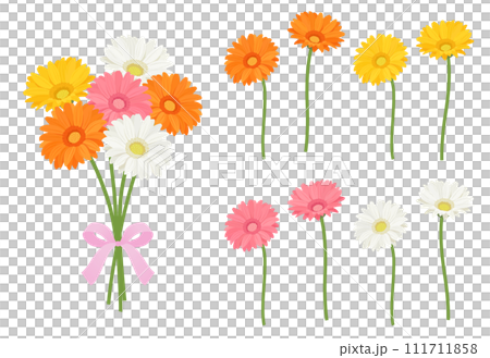 ガーベラの花のセット 111711858