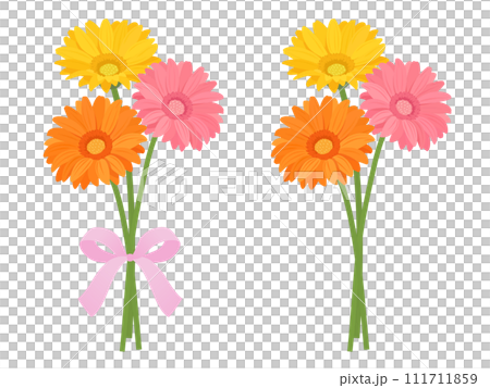 ガーベラの花束のベクターイラスト ガーベラの花束のベクターイラスト 111711859