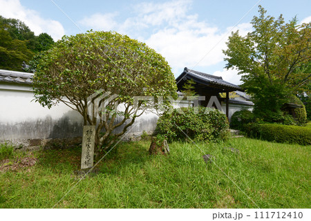 柳生の里　芳徳寺本堂の白塀　奈良県奈良市柳生 111712410
