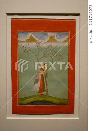 6349　木に寄りかかり休むナーイカ 111714078