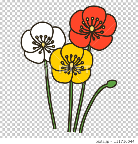 Poppy Poppy 111716044