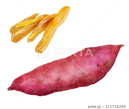 干し芋の水彩画イラスト 111716264