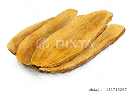 干し芋の水彩画イラスト 干し芋の水彩画イラスト 111716267