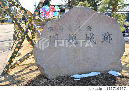 川越城址公園 川越城跡 川越城址公園 川越城跡 111716557
