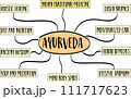 Ayurveda, traditional Indian medicine system - infographics or mind sketch, health and healing concept 111717623