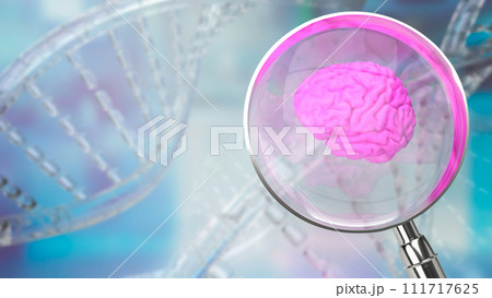 The magnifying glass and Brain for sci or medical. Concept 3d rendering. The magnifying glass and Brain for sci or medical. Concept 3d rendering. 111717625