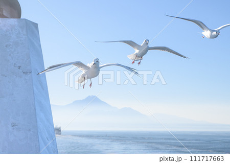 島原・熊本フェリー　カモメ、雲仙普賢、有明海 111717663