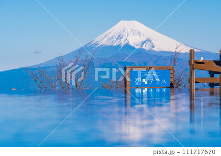 (静岡県)伊豆パノラマパーク・碧テラスの向こうに、雪化粧した富士山 (静岡県)伊豆パノラマパーク・碧テラスの向こうに、雪化粧した富士山 111717670