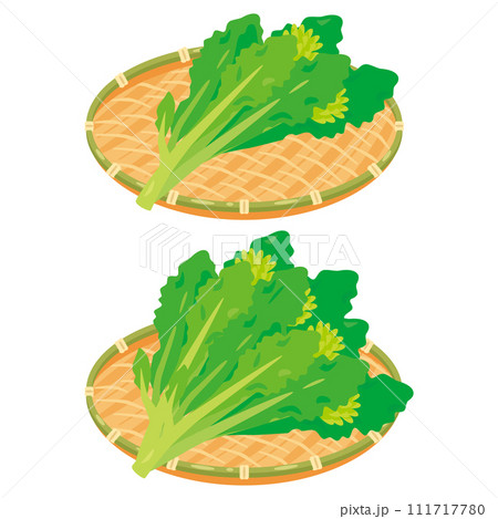 ザルに盛られた菜花セット 111717780