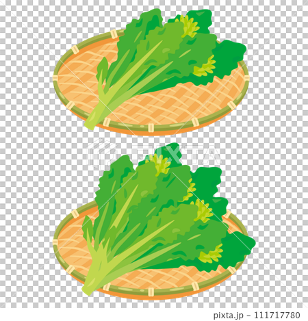 ザルに盛られた菜花セット 111717780