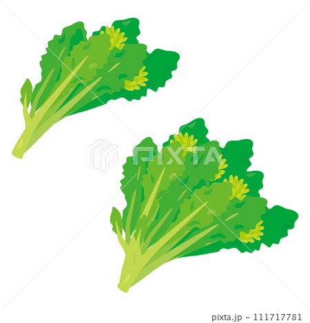 菜花セット 111717781