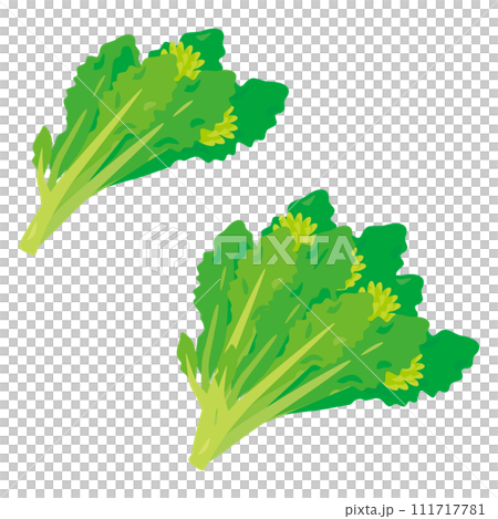 油菜花套裝 油菜花套裝 111717781