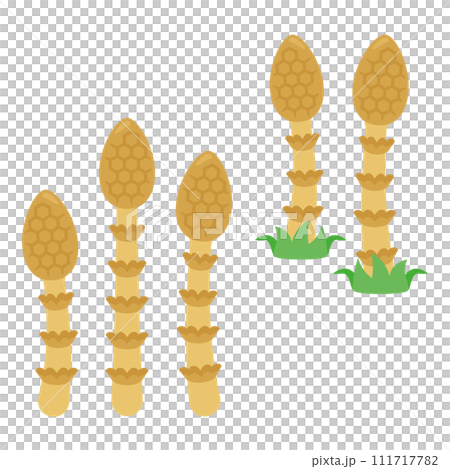 馬尾套裝2 馬尾套裝2 111717782