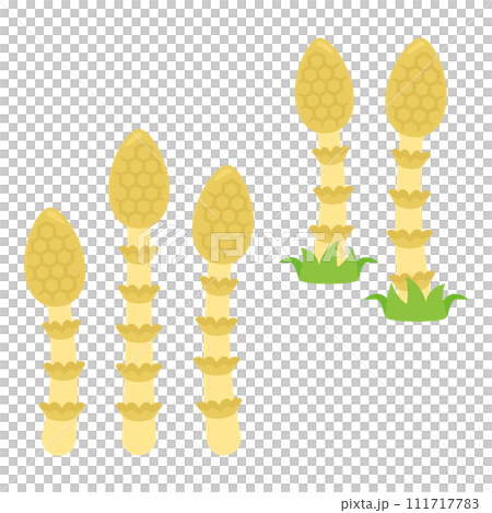 馬尾套裝1 馬尾套裝1 111717783