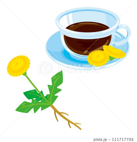 タンポポとタンポポコーヒー タンポポとタンポポコーヒー 111717788