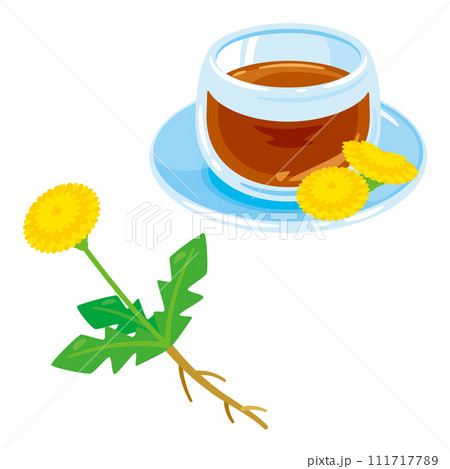 タンポポとタンポポ茶 111717789