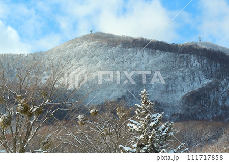 雪化粧の藻岩山 雪化粧の藻岩山 111717858