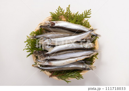 子持ち　からふとししゃも 111718033