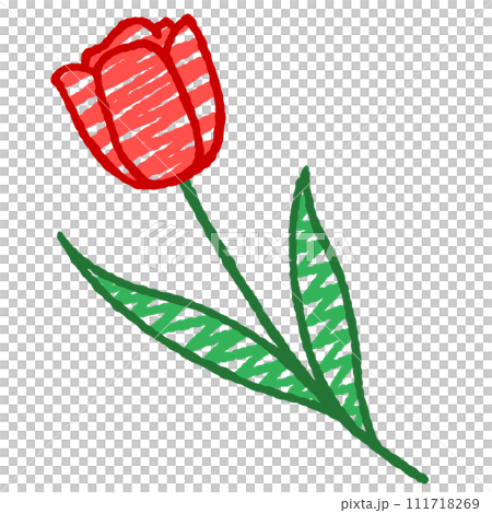 simple red tulip illustration 111718269