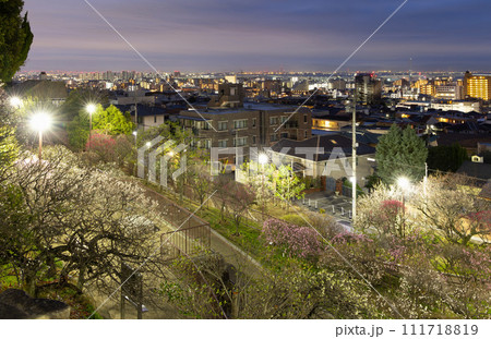 夜明け前の岡本梅林・市街地の明かり、その向こうには大阪の街明かりが見えます。 神戸市東灘区にて 夜明け前の岡本梅林・市街地の明かり、その向こうには大阪の街明かりが見えます。 神戸市東灘区にて 111718819