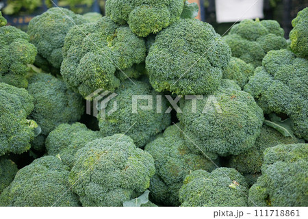 Fresh green broccoli display for sale at local store  Fresh green broccoli display for sale at local store  111718861
