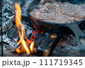 キャンプ　スキレット　ステーキ　無骨 111719345