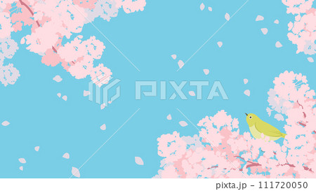 満開の桜とかわいいメジロのイラスト、春のイメージの背景素材 111720050
