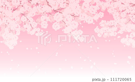 満開の桜と桜吹雪のイラスト、春のイメージの背景素材 111720065