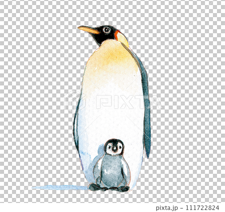 Illustration of a penguin painted in watercolor Illustration of a penguin painted in watercolor 111722824