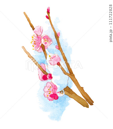 雪と梅の枝 111722828