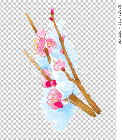 雪與梅枝 111722828