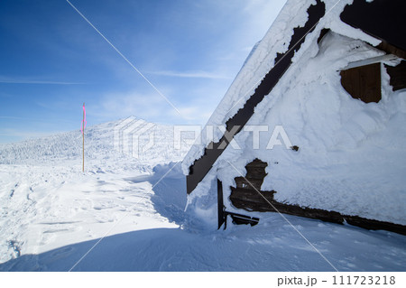 厳冬期 森吉避難小屋より森吉山を望む 秋田県 厳冬期 森吉避難小屋より森吉山を望む 秋田県 111723218