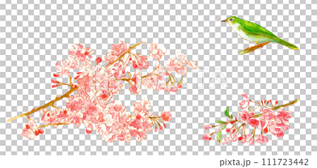 Cherry blossom and nightingale set 111723442
