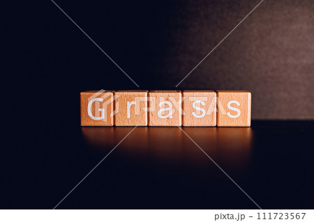 Wooden blocks form the text "Grass" against a black background. 111723567