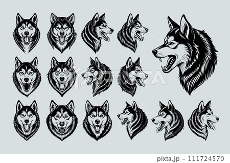 Collection of Siberian husky dog head illustration design 111724570