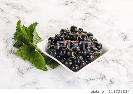 Juicy black currant berries in the bowl 111725834