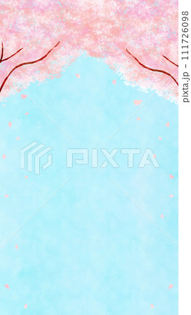 青空と満開の桜 春イメージの背景素材 青空と満開の桜 春イメージの背景素材 111726098
